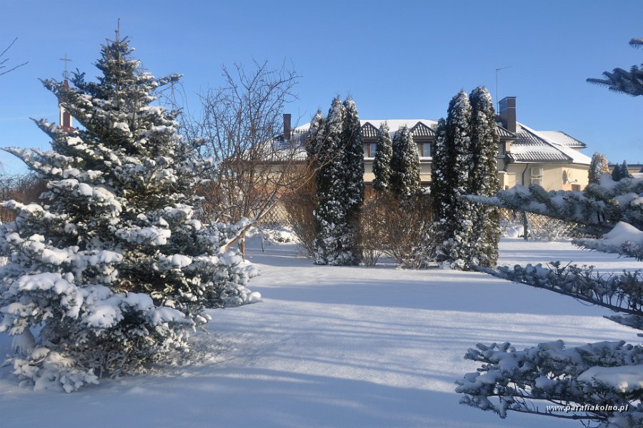 22 Zima w ogrodzie.jpg